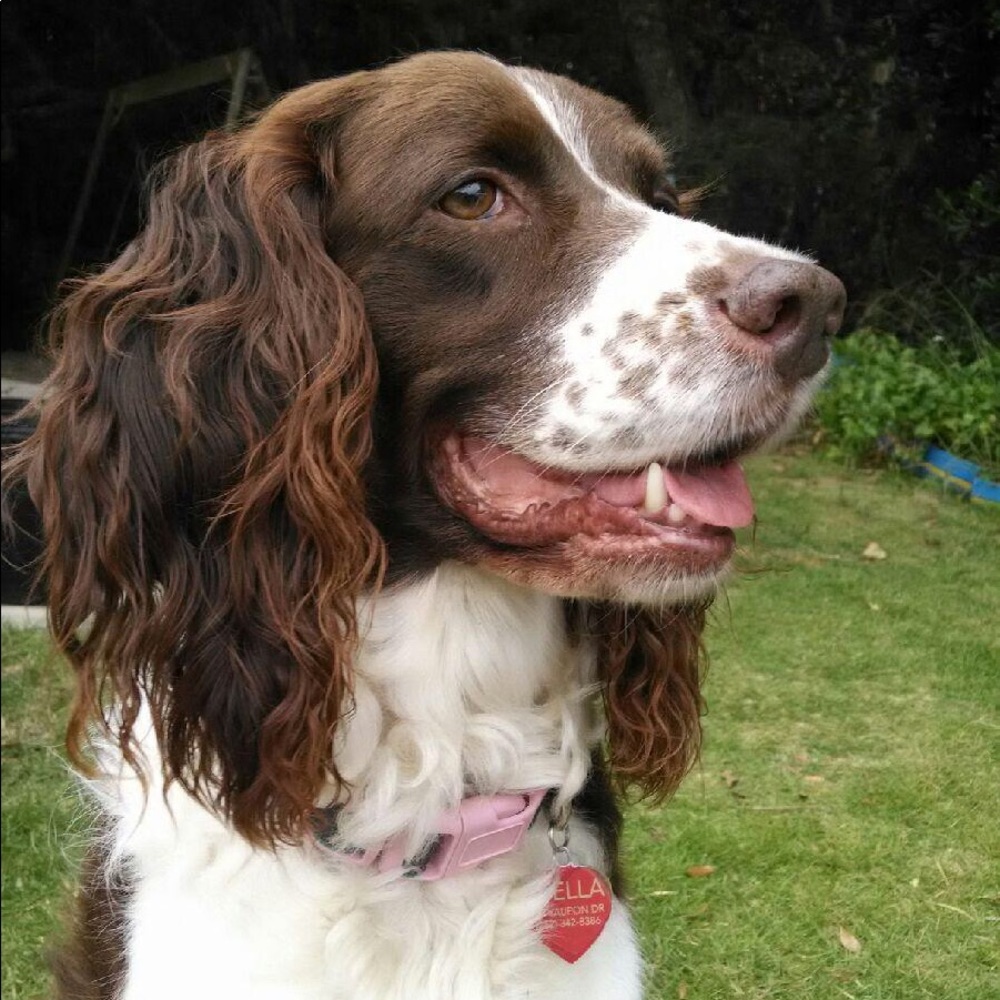 Meet your Posher, Keri